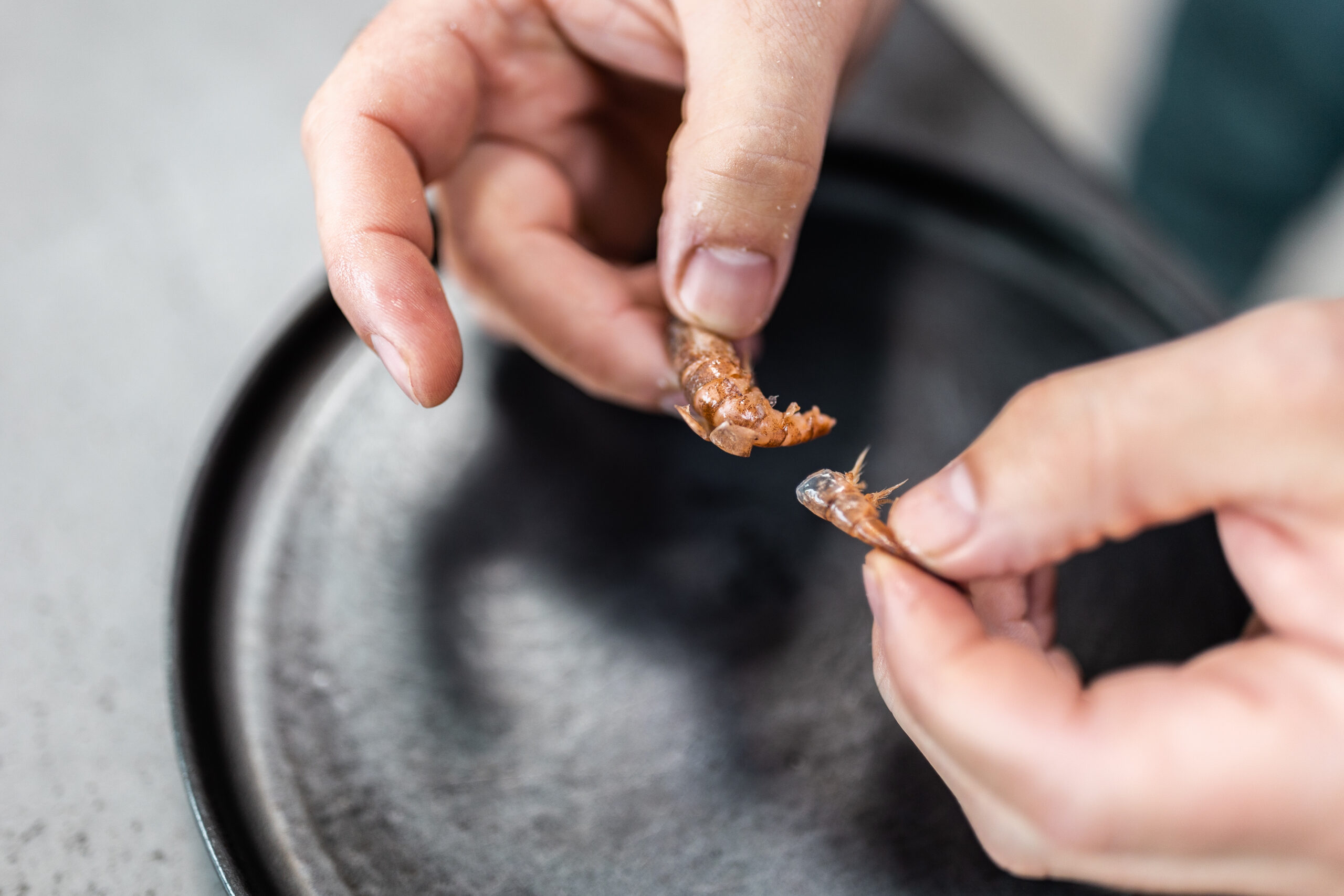 Ambachtelijke kroketten van Monsieur Salpicon